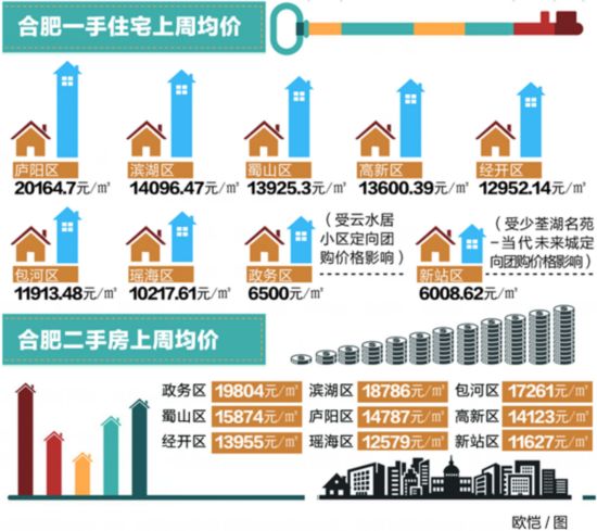 最新数据，引领决策与创新的核心基石