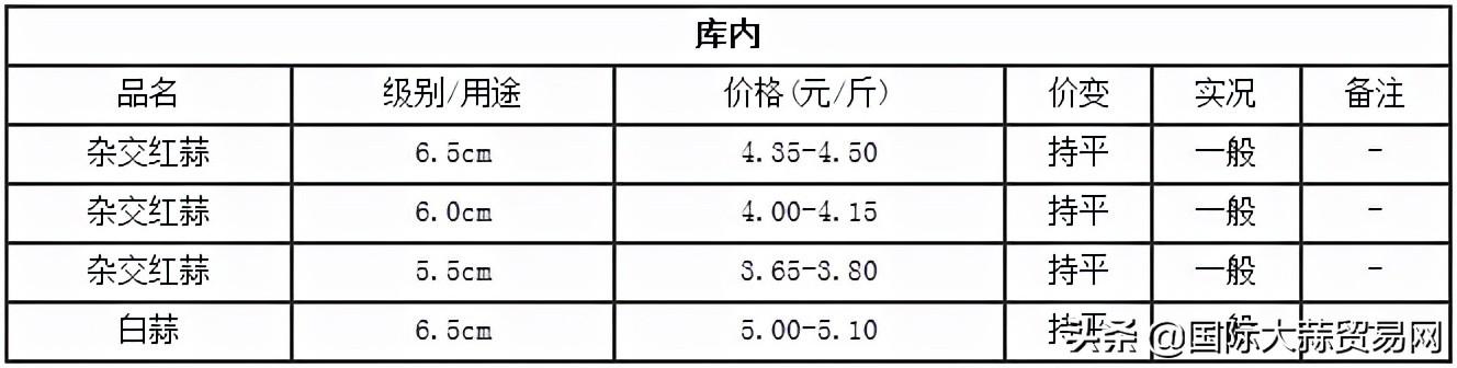 文章引言，探索未知领域的前奏