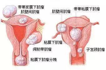 2024年12月6日 第11页