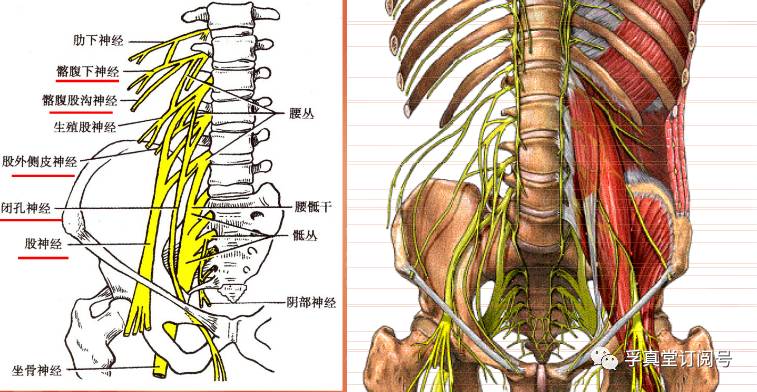 最准一肖一码100_最新核心解剖落实_尊贵版17.213.33.182