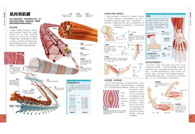 2024年香港正版内部资料_最新核心解剖落实_尊贵版143.147.14.210