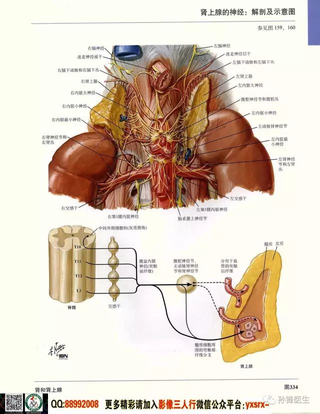 新澳天自动更新资料大全_绝对经典解剖落实_尊贵版208.135.46.222