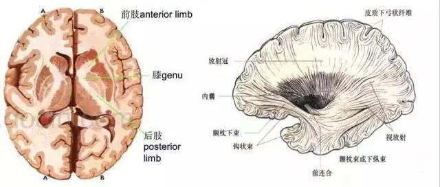 77778888管管家婆一肖_最新核心解剖落实_尊贵版8.187.37.69