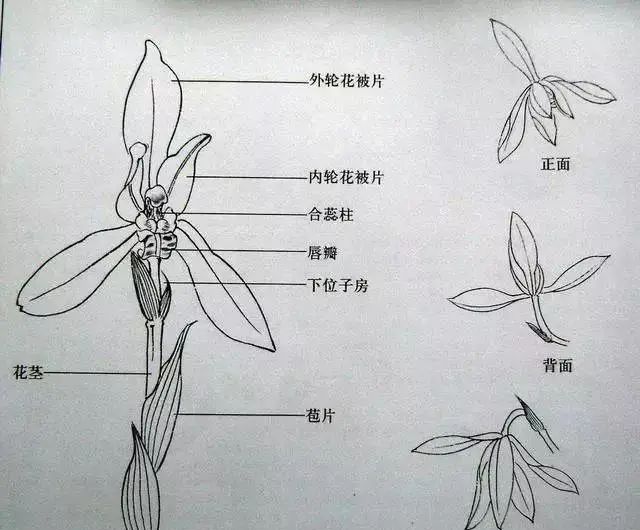 国产日产精品久久久久兰花_准确资料解剖落实_尊贵版197.216.91.218