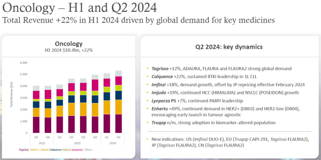 2024天天彩正版资料大全,现状解答解释落实_武装版80.256